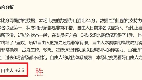 2026赛事攻略连赢5周状态爆表信心场次解析
